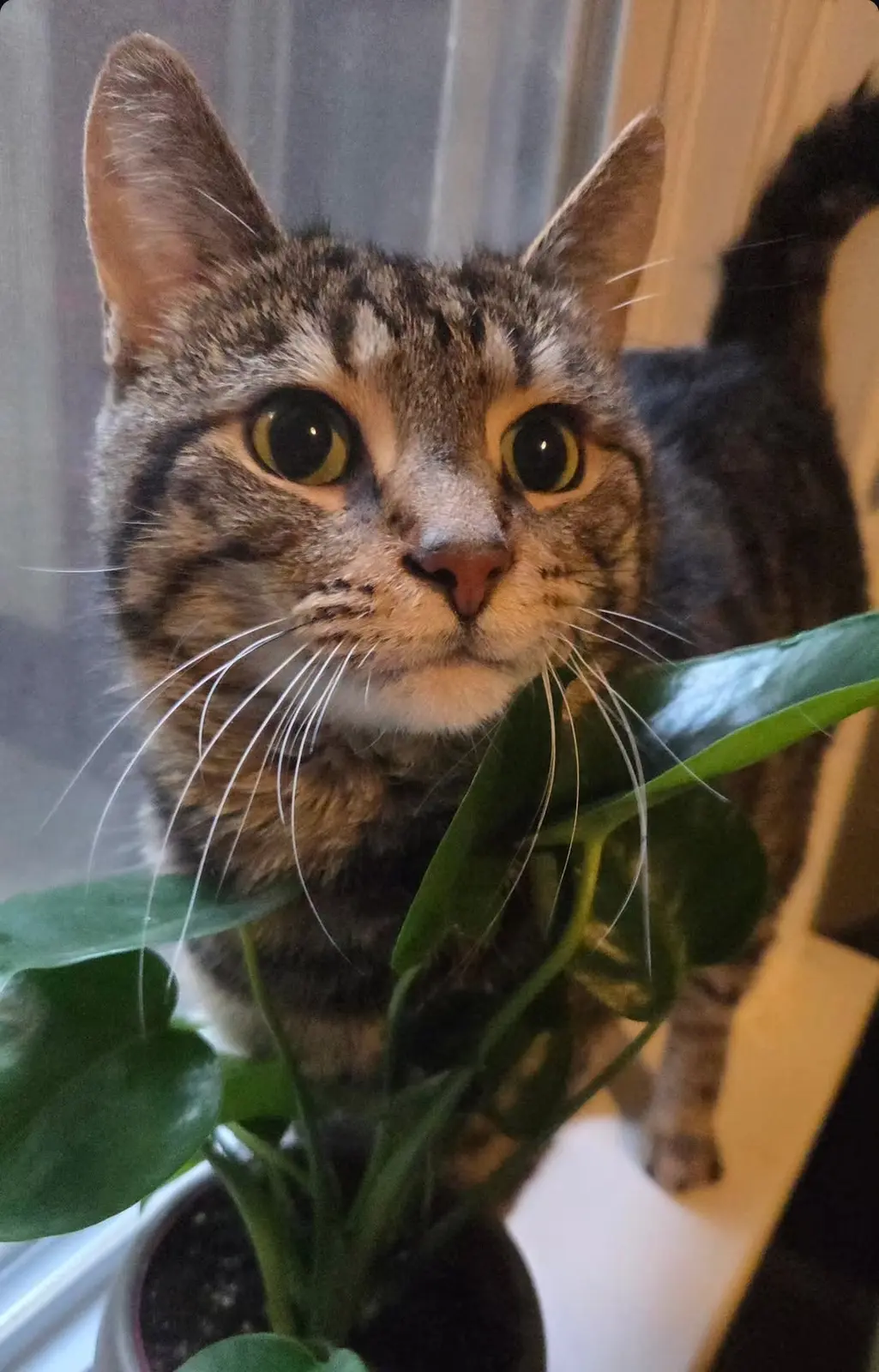 Community photo: gerbie