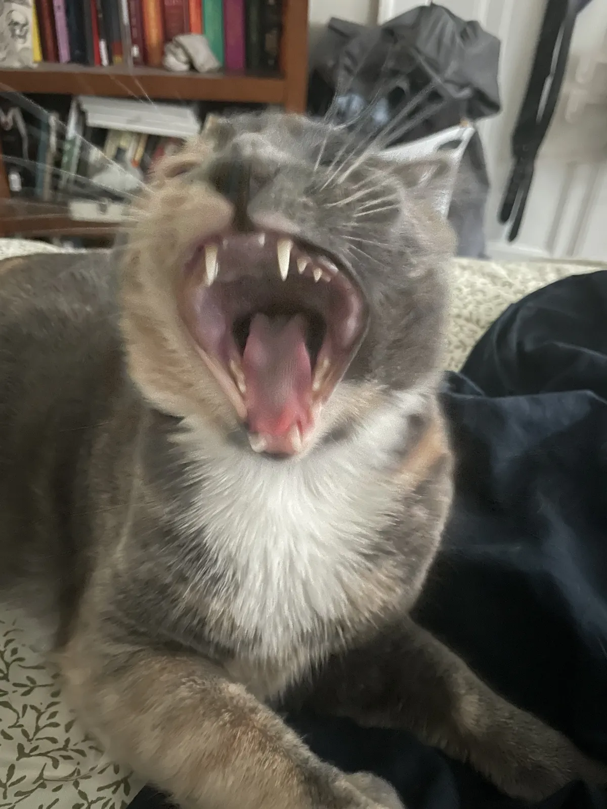 Community photo: a beast or demon of some sort